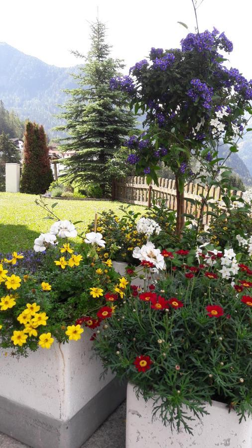 Bed and Breakfast Haus Edelweiss Йерценс Экстерьер фото